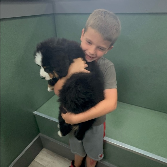 Live show notification - Picture 4 of 11